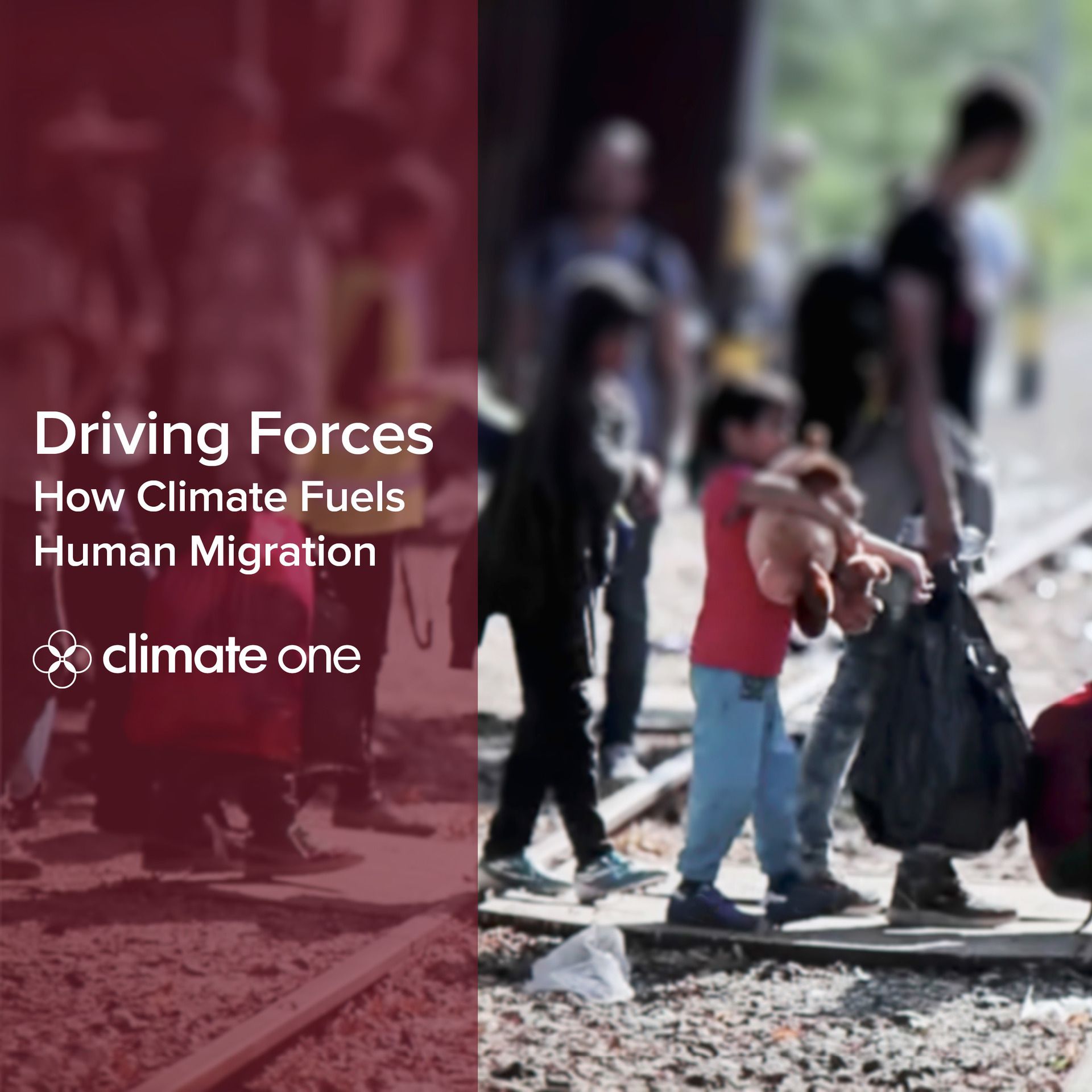 Twitter Driving Forces