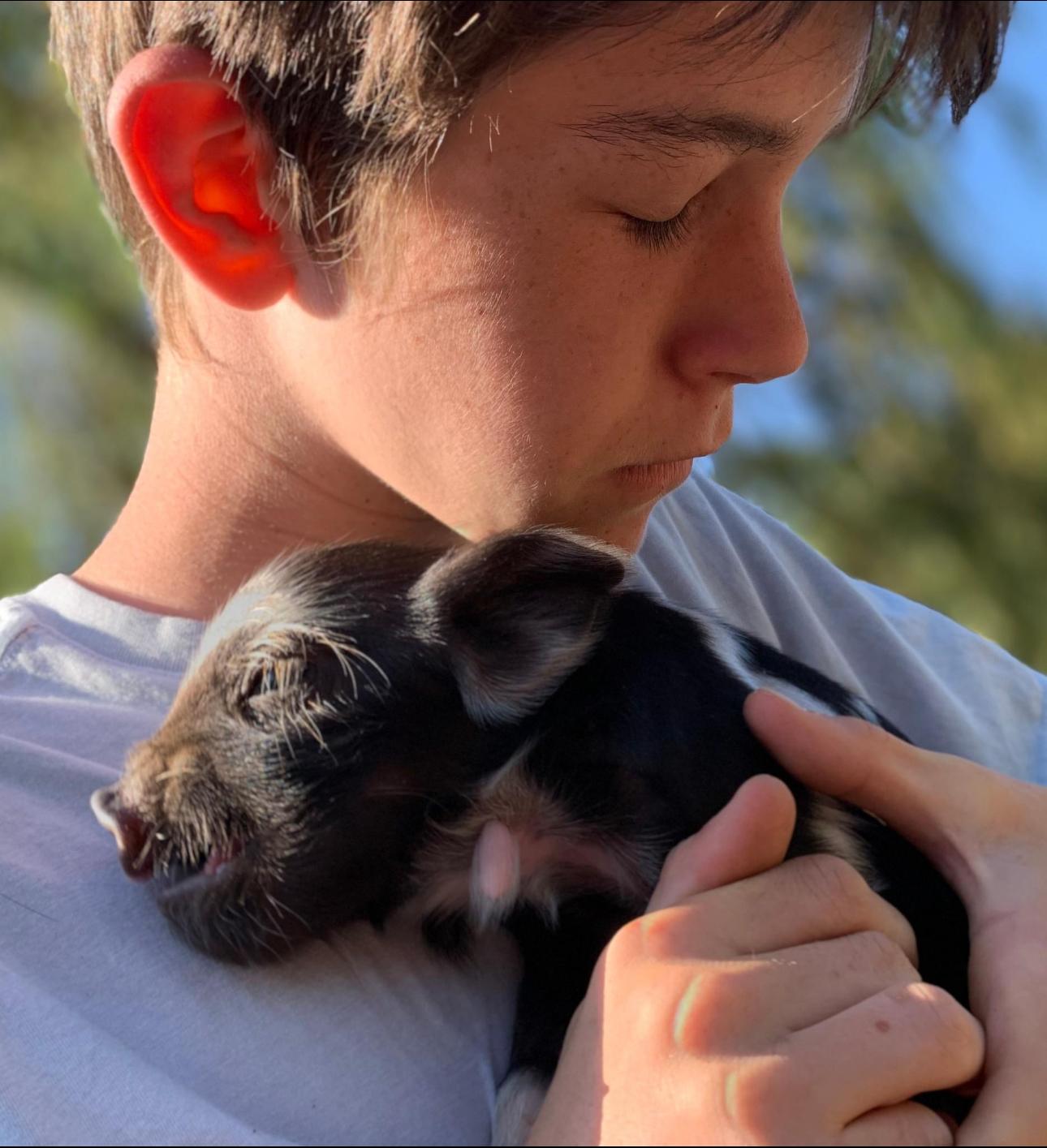 BROKEN THEATRE on the Farm GAVIN Piglet