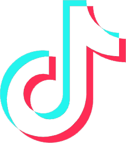 tiktok icon sm