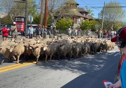 Redwood Empire Food Bank