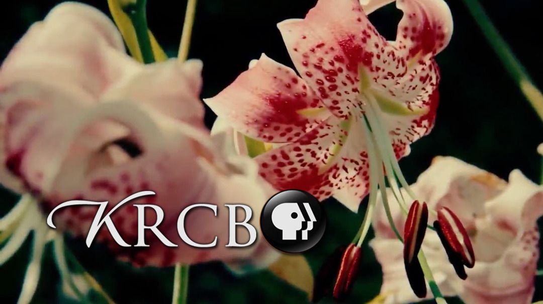 North Bay Bountiful: Gardening & Community