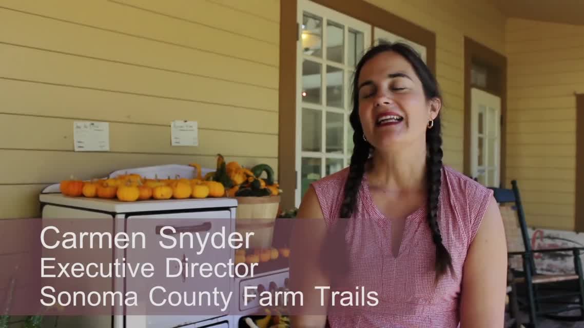 McClelland Dairy: Farm Trails