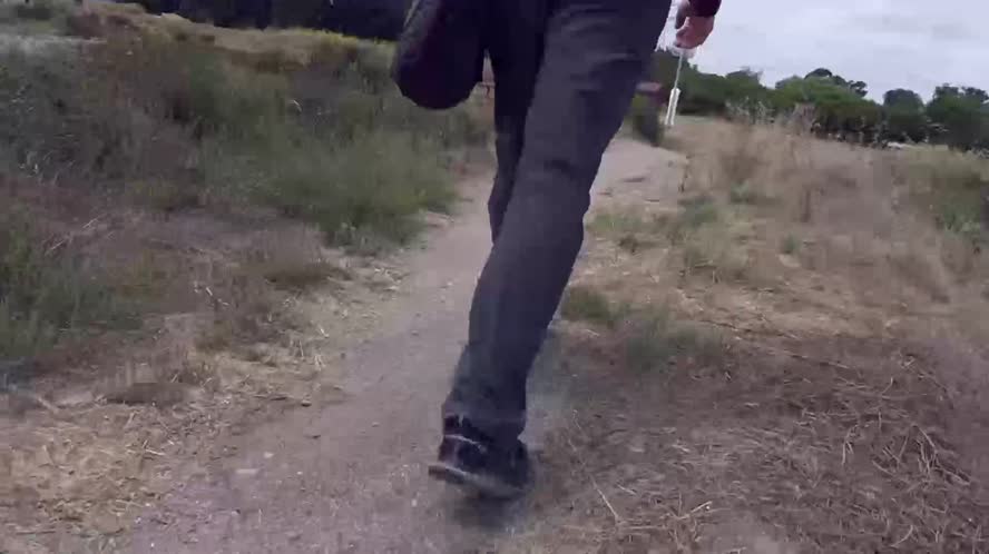 Bay Area Bountiful: Birding