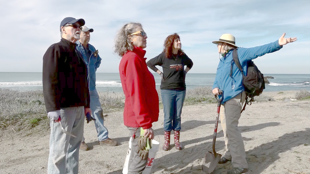 Bay Area Bountiful: Sustainable Nonprofits