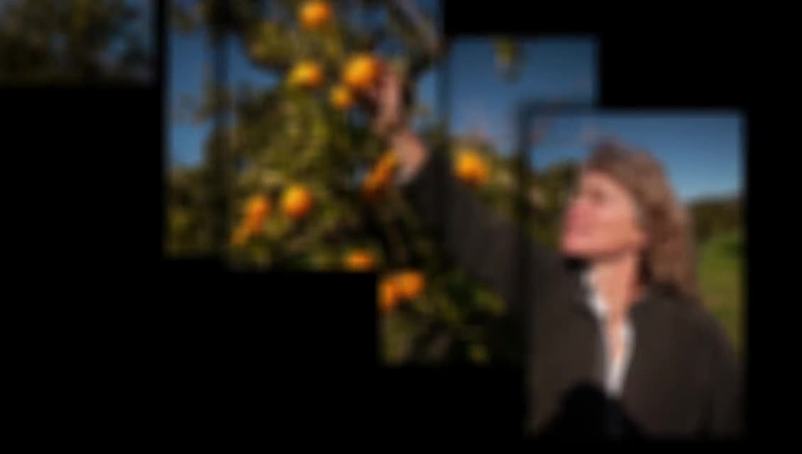 Lexicon of Sustainability - Terroir