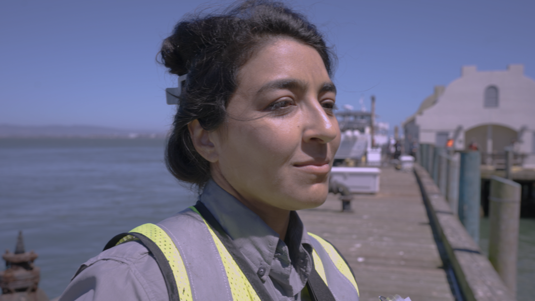 The Bird Woman of Alcatraz