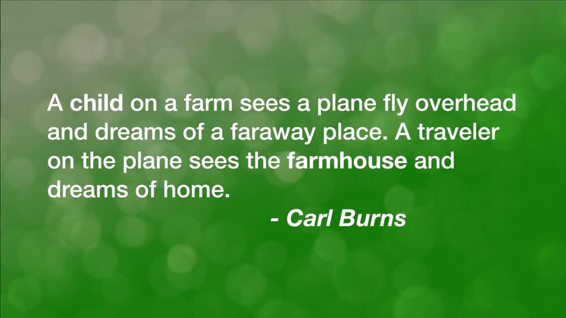 A Child on a Farm...